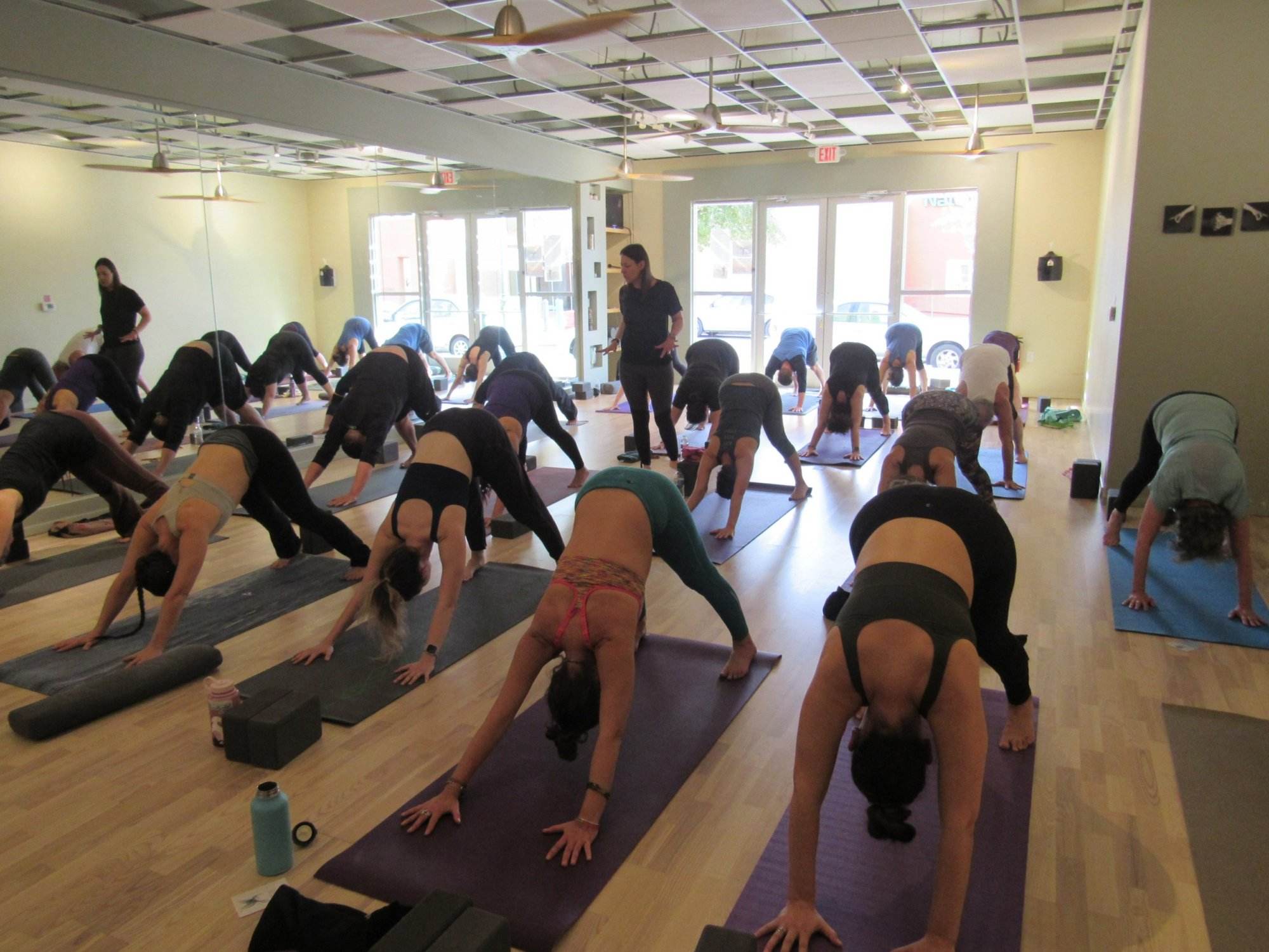 Yoga Therapy Hōlsōl Wellness