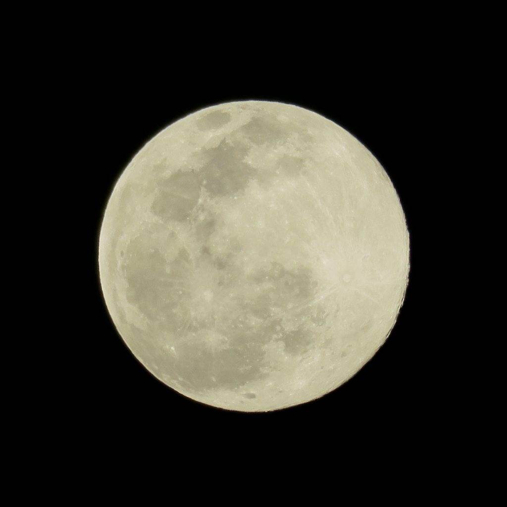 A clear, full moon against a black night sky, like the serene calm when you diffuse your essential oils.