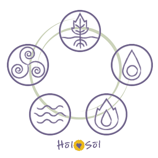Circle with five elements as icons in purple with HolSol logo at bottom.