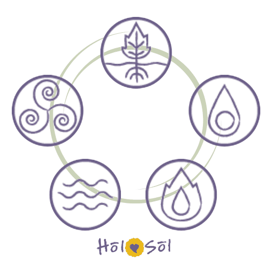HolSol Five Elements with logo Circle with five elements as icons in purple with HolSol logo at bottom.