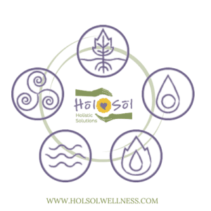 Graphic with icons for five elements, earth, fire, water, air and space With HolSol Wellness logo in center.
