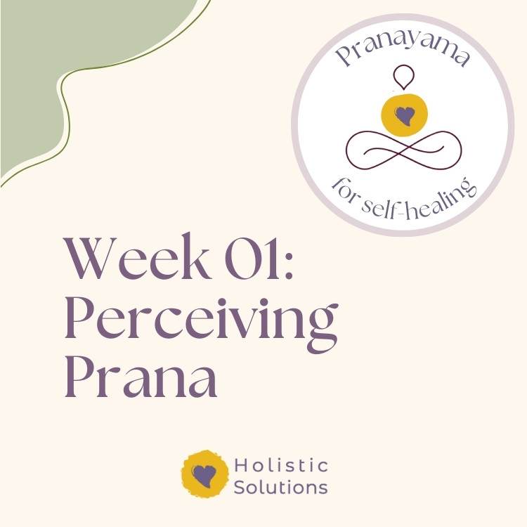 Week 1 Thumbnail for Pranayama for Self-Healing course Thumbnail for Week 1 of Pranayama for Self-Healing Course that reads: "Week 01: Perceiving Prana" WIth HolSol Wellness logo at bottom that reads: "Holistic Solutions"